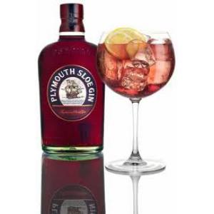 Plymouth Sloe 70 Cl.